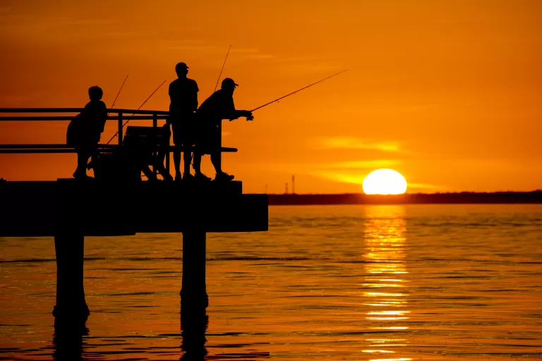 Top Family-Friendly Fishing Spots: Best Places to Fish in Tampa Bay for Families