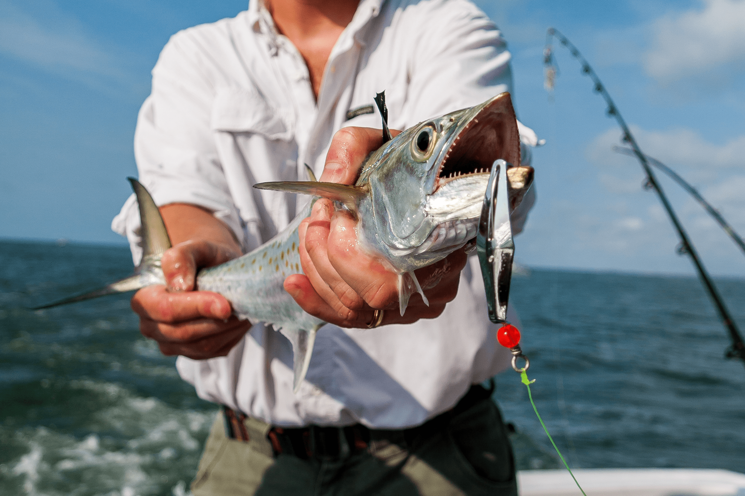 Fishing gear for shoreline Spanish mackerel fishing