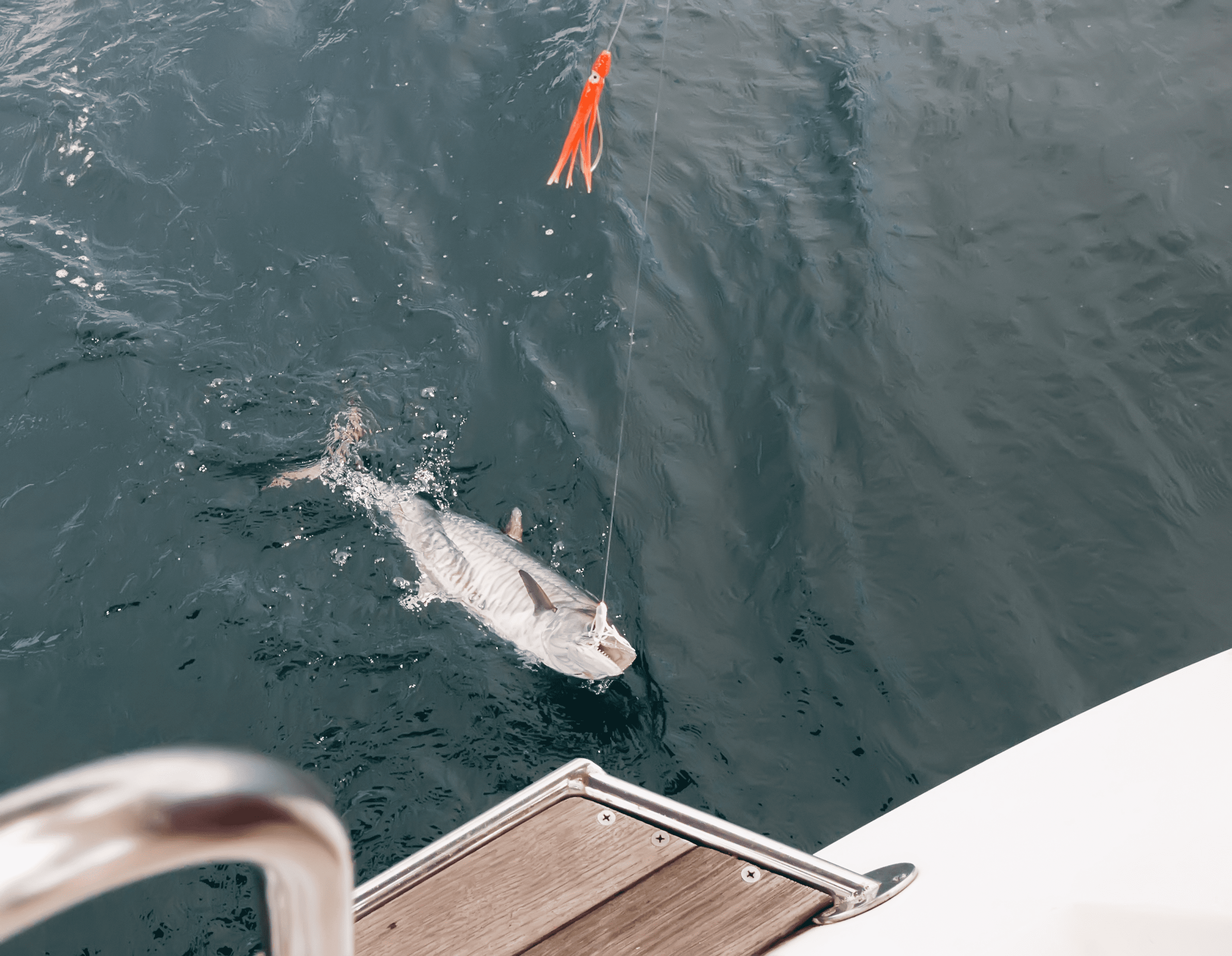 Slow trolling techniques for king mackerel